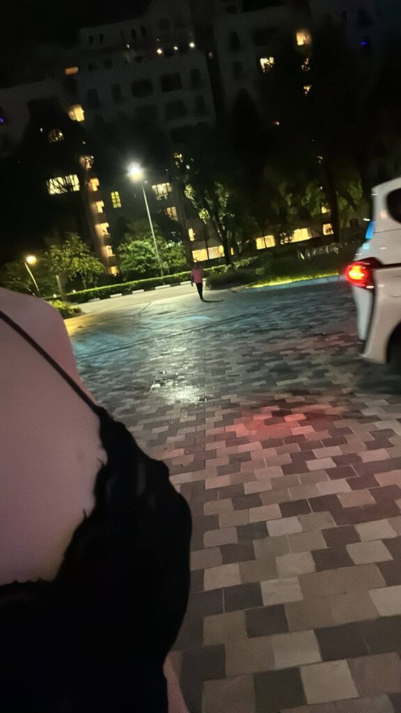 trusted escort service city hall singapore model